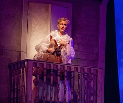 Цыганский барон