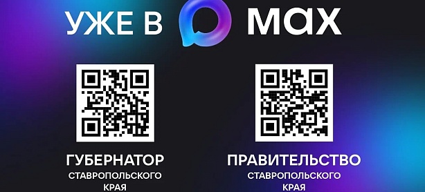 Новая платформа MAX становится популярнее