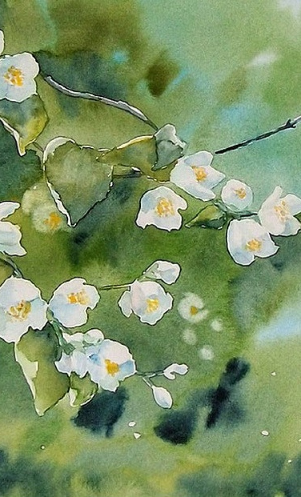 Вечер романса