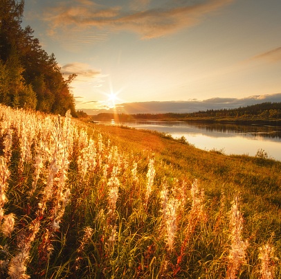 Марш весёлых ребят