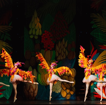 Остров сокровищ