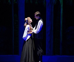 Собака на сене