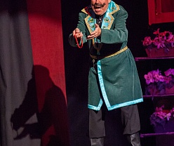 Ханума. Микич