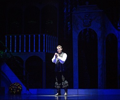 Собака на сене