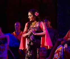 Графиня Марица